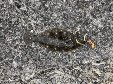 ショアタイラバ