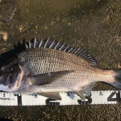 イチノ兄弟、釣果!