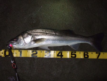 寒さに耐えて1バイトをものに