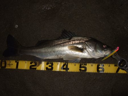 徐々に戻りだしたかな