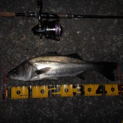 これから厳しくなりそう…。