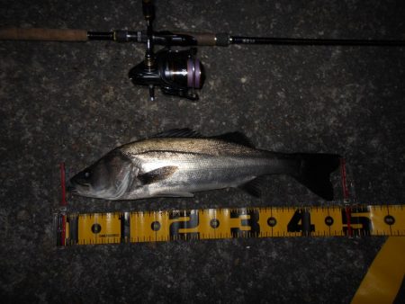 これから厳しくなりそう…。