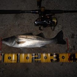 厳しいですね…