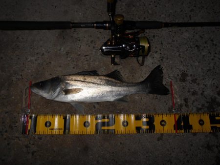 厳しいですね…