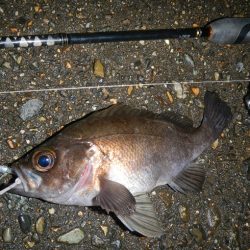 今日も荒れてます