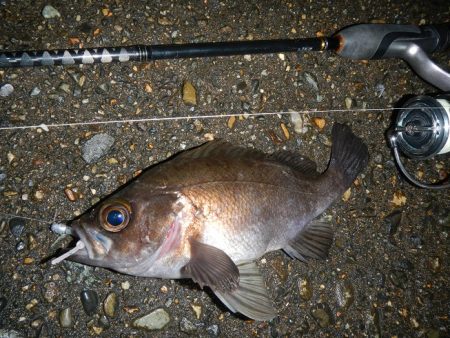 今日も荒れてます