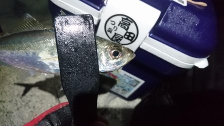 まだまだアジング！！