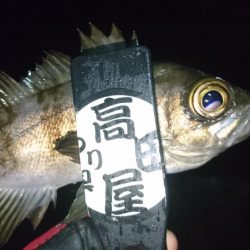 短時間勝負！！