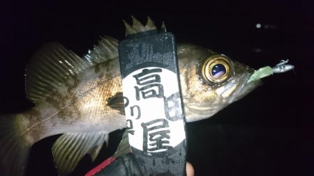 短時間勝負！！