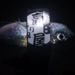 いよいよ終了？！