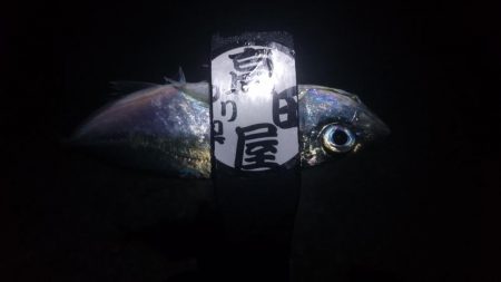 いよいよ終了？！