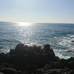 釣り納めショアジギング