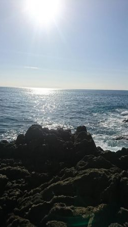 釣り納めショアジギング