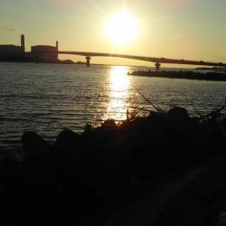 季節外れの太刀魚