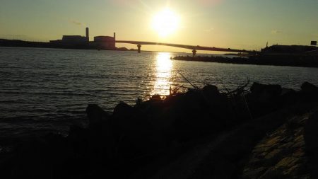 季節外れの太刀魚