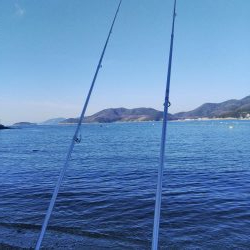 令和2年1月4日 室津で投げ釣り