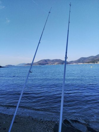 令和2年1月4日 室津で投げ釣り