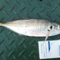 うれしいゲスト！！