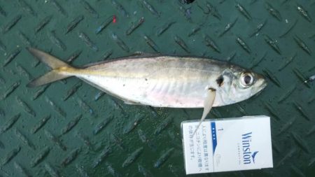 うれしいゲスト！！