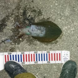 明けましておめでとう初釣り行って来ました。