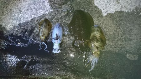 いつもと違う場所へ冒険