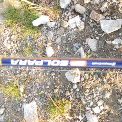 タチウオいつまで釣れる