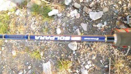 タチウオいつまで釣れる