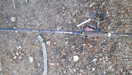 タチウオなんとか居残ってる