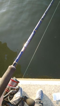 諦めるな！！まだ釣れるぞ～