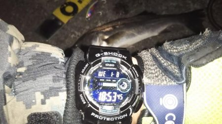 ぶらシーバス！！