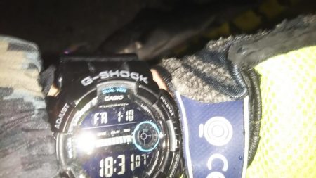 ぶらシーバス！！