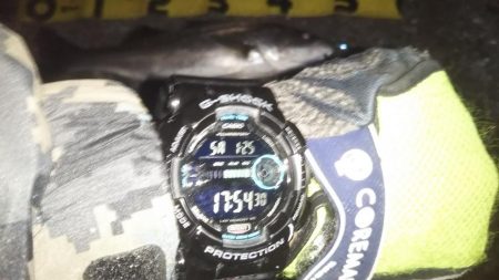 ぶらシーバス!!