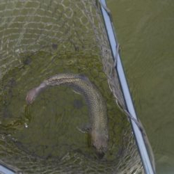 松原フィッシングパーク