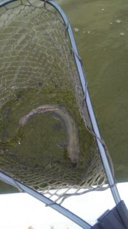 松原フィッシングパーク