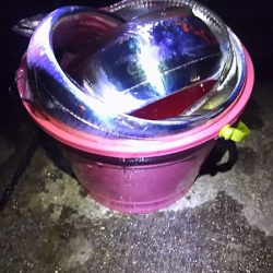 サイズもいいタチウオがよく釣れました。