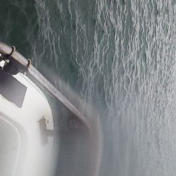 初釣行で良型ヒラマサ　ゲット～