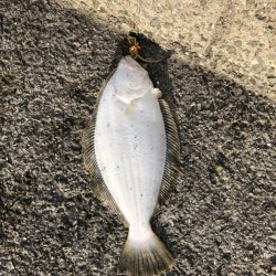 ショアタイラバ