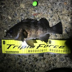 日本海単独遠征