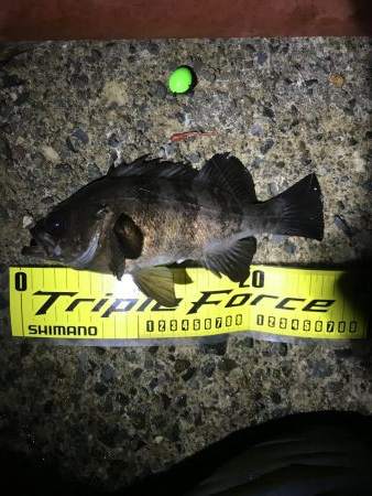 日本海単独遠征