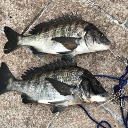 地上は強風、水中は激流