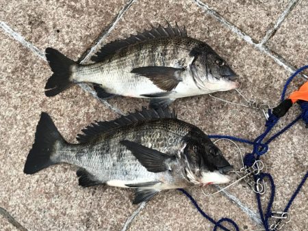 地上は強風、水中は激流