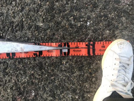 年明けもドラゴン