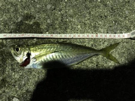 アジングオール