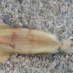 やっと~ヤリ~✌