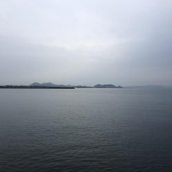 ツバスやけど2匹ゲット!