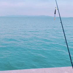 太刀魚つり！？