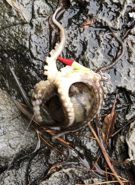 令和2年初釣果は⁈