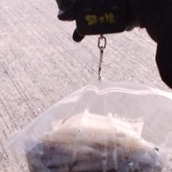 終盤デイヒイカ大爆発