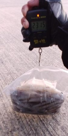 終盤デイヒイカ大爆発