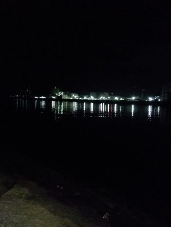 どうにかメバル